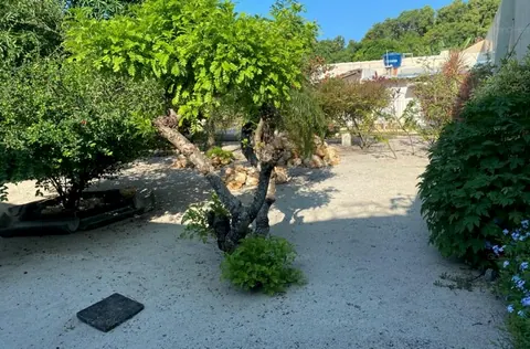 Área arborizada do terreno, com chão de areia