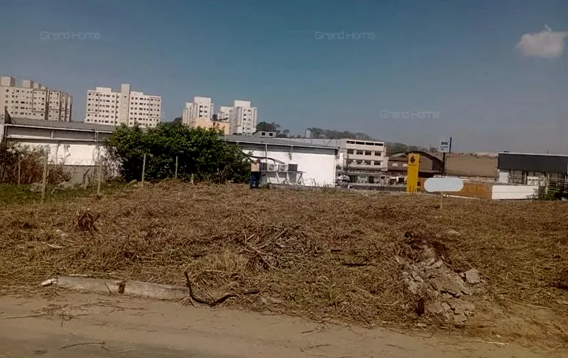 Terreno vazio com mato seco, visto da rua, com prédios ao fundo