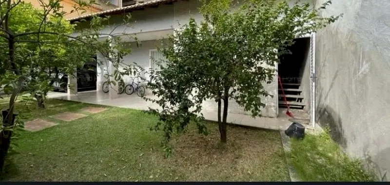 Quintal gramado com árvores em frente à varanda da casa